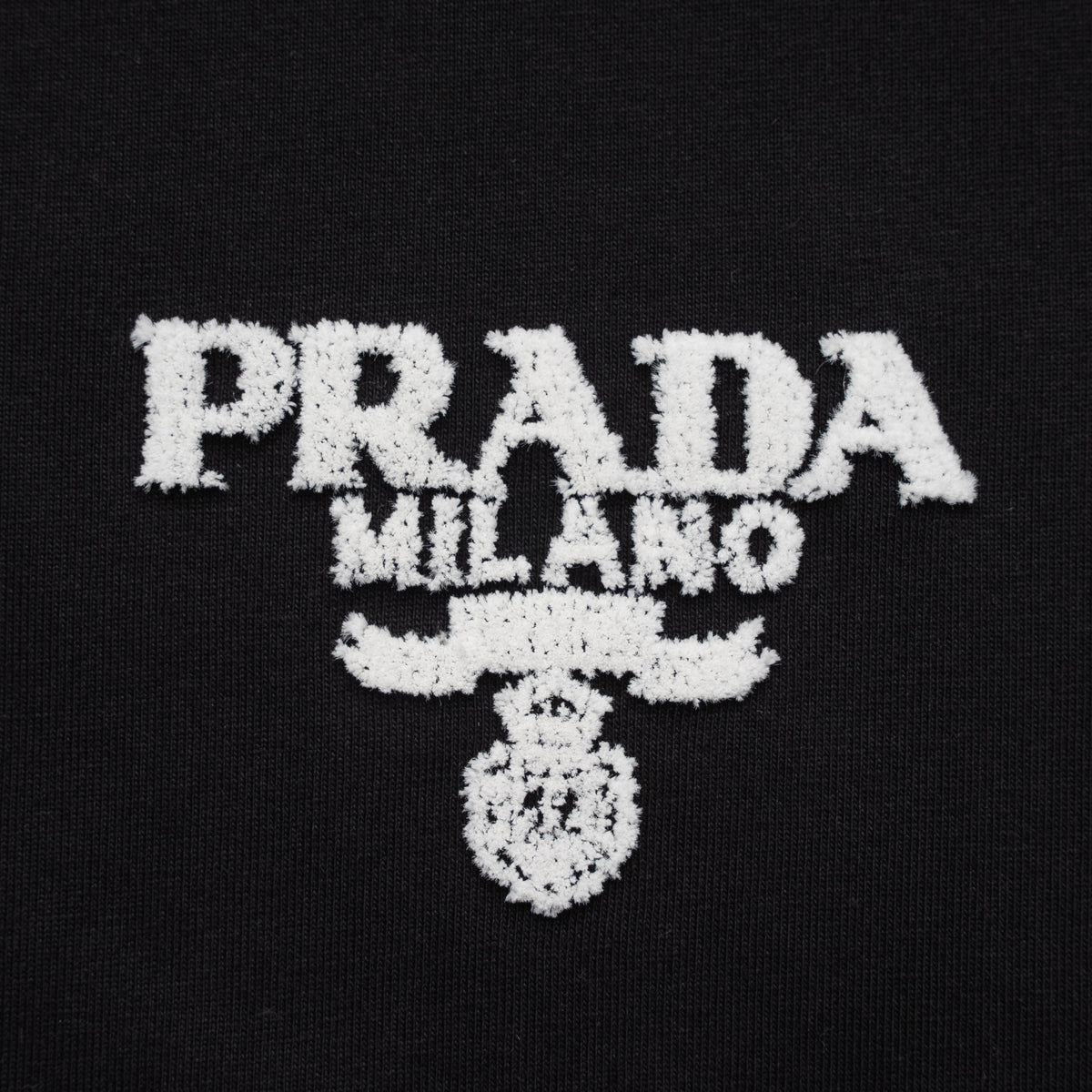 Printed T-Shirt: High-End Fashion Statement-1170